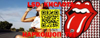 СК Кингисепп