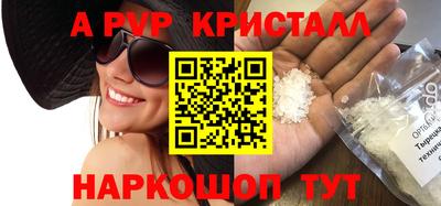 СК Кингисепп
