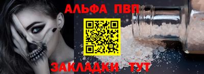 СК Кингисепп