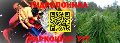 спиды Кимры