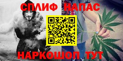 СК Кингисепп