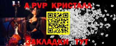 СК Кингисепп