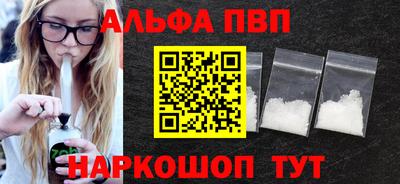 СК Кингисепп
