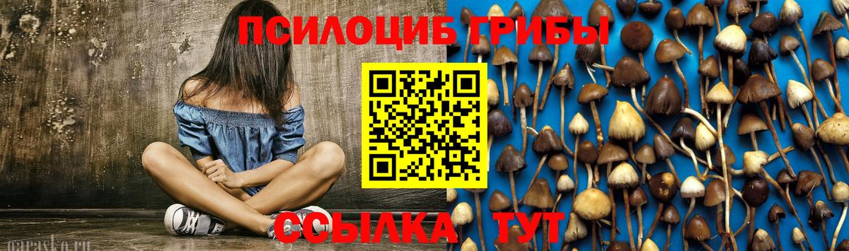 Донецк  Псилоцибиновые грибы GOLDEN TEACHER  Вход с VPN 
